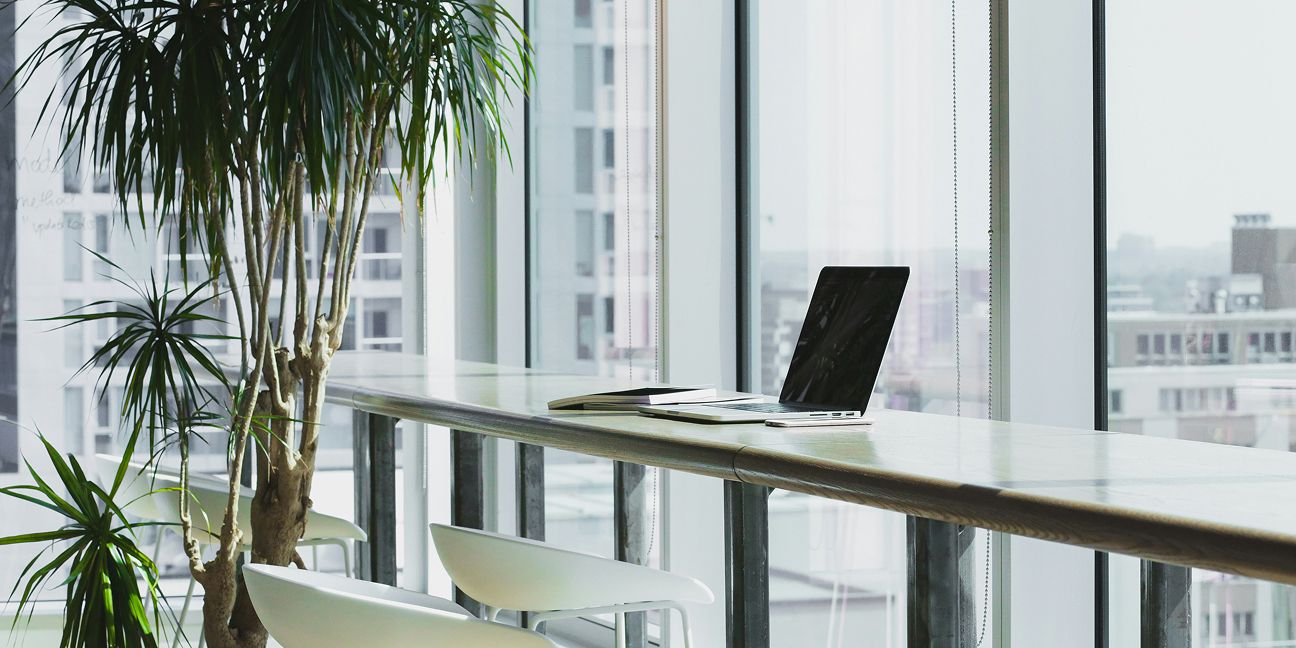 Dieses Bild zeigt einen Laptop und Pflanzen in einem Büro und verdeutlicht das Thema Was bedeutet ESG für Unternehmen im Mittelstand?