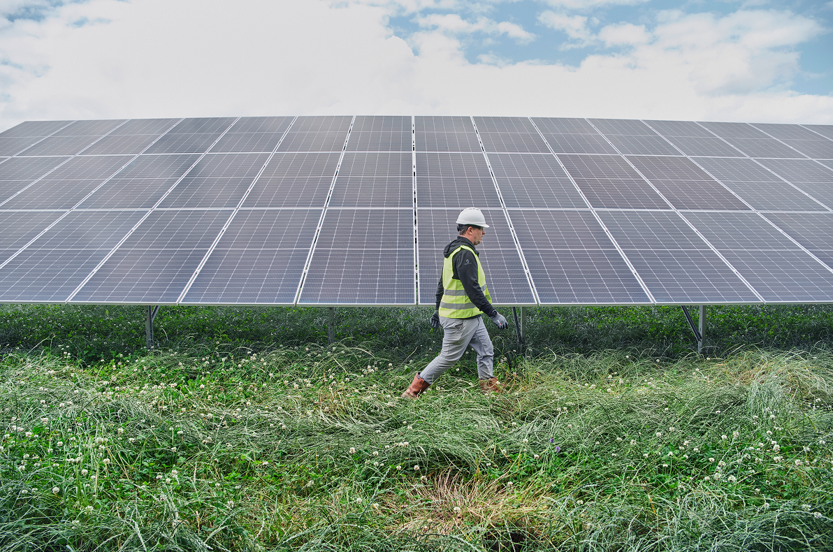 Techniker geht vor großflächigen Photovoltaik-Modulen in einem Solarpark.