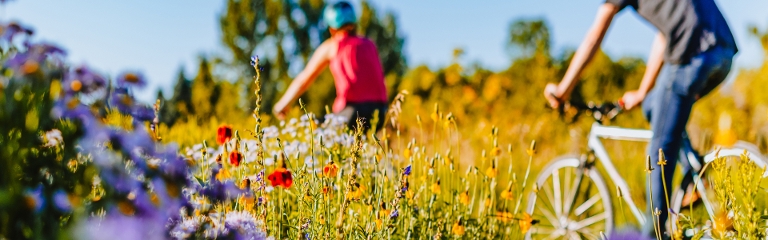Zwei Personen mit Sommerkleidung und einem Fahrradhelm auf, fahren mit Fahrrädern durch eine bunte Blumenwiese.