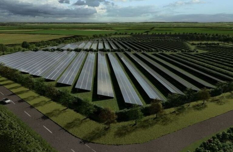 Weiträumiger Blick auf ein begrüntest Feld auf dem viele Reihen einer Photovoltaikanlage platziert wurden.