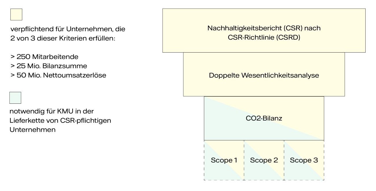 Übersicht über die Berichtspflicht zur CSRD-Richtlinie 2025