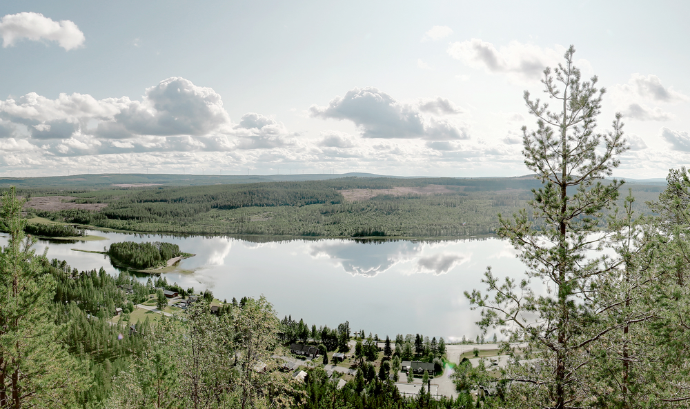 CO2 Management Teaser: grüne Landschaft mit See