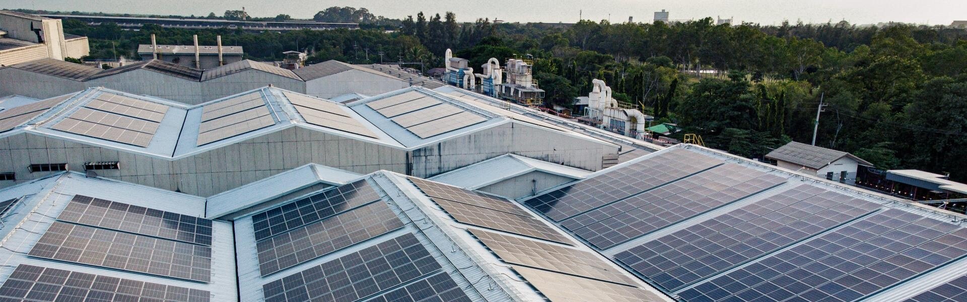 Solarpanele auf Dächern