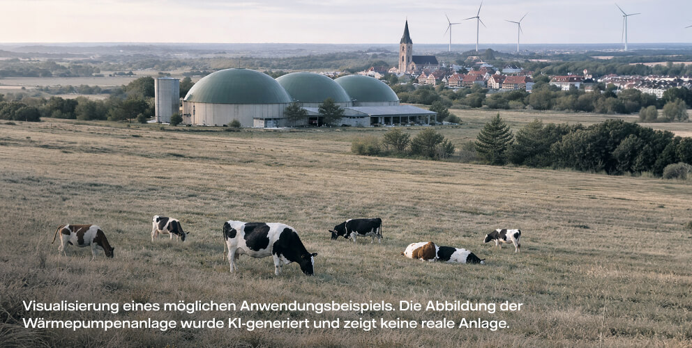 Kühe vor einer Biogasanlage