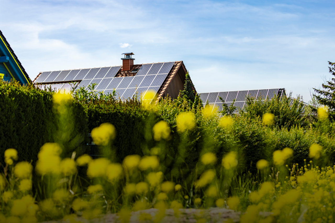 Ein Haus mit Solarzellen hinter einer Blumenwiese