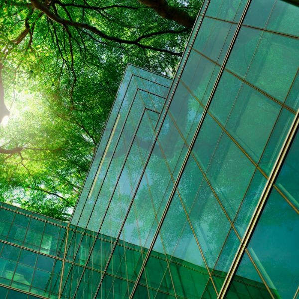 Glasgebäude unter Laubbäumen