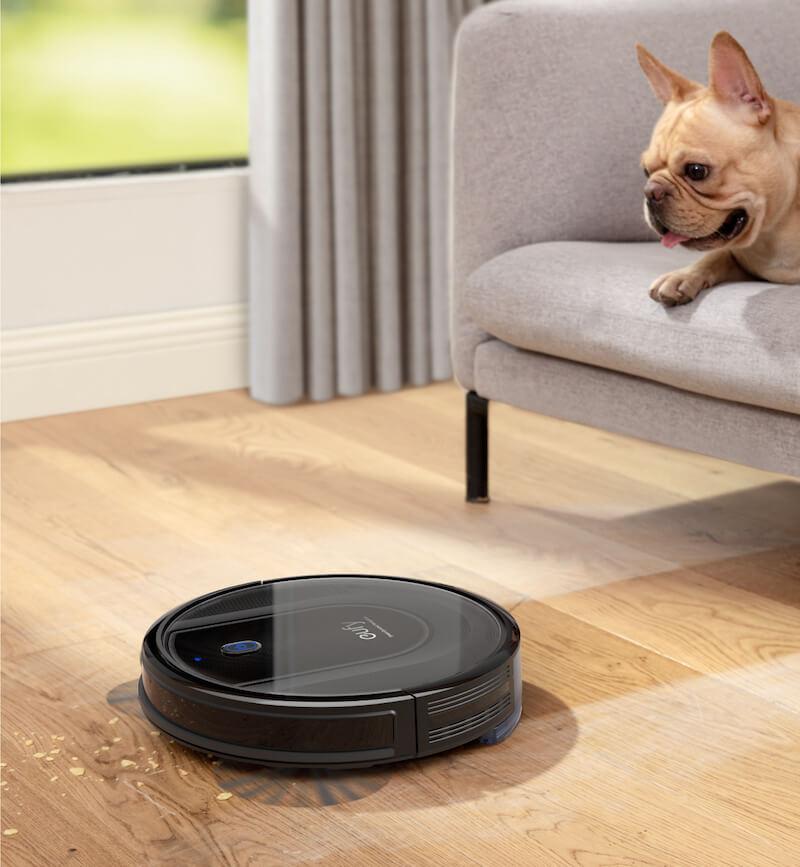 Hund auf Sofa beobachtet Saugroboter