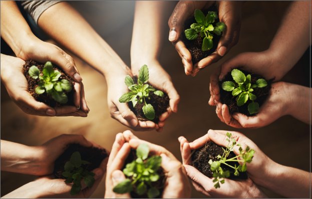 Menschen sammeln sich mit Pflanzen in  Händen zusammen
