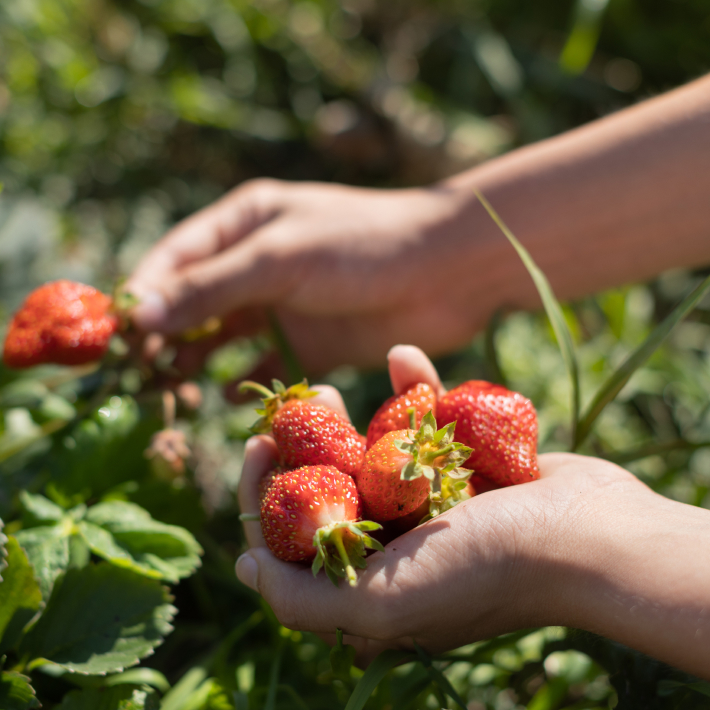 Lagom - das schwedische Lebensgefühl