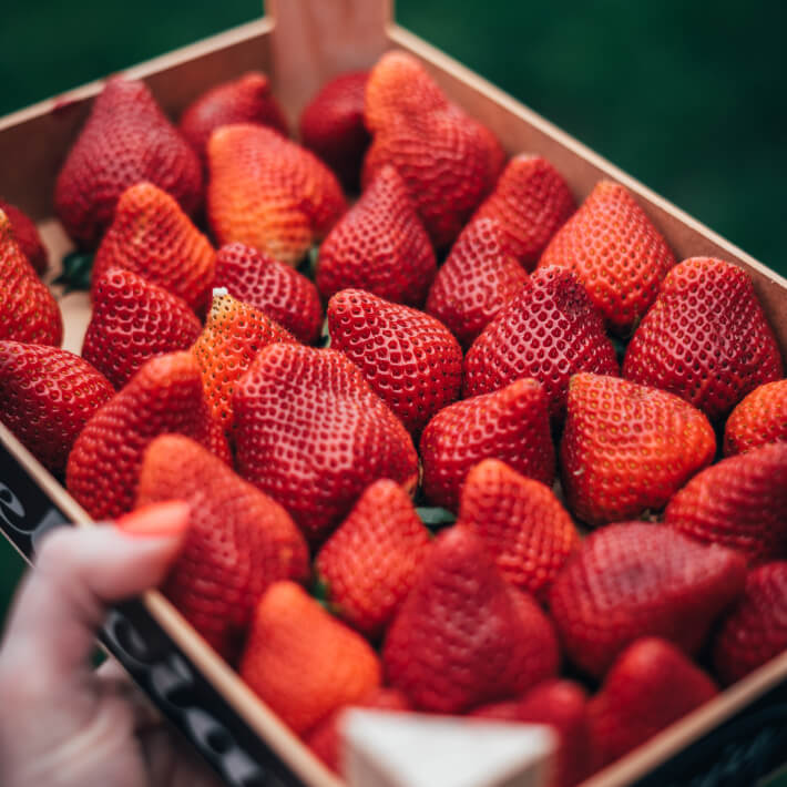 Schachtel voller frischen Erdbeeren